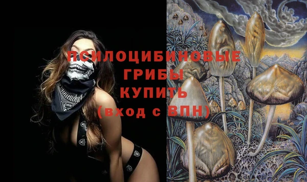 таблы Богданович