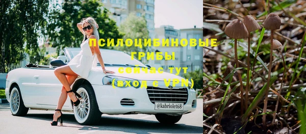 таблы Богданович